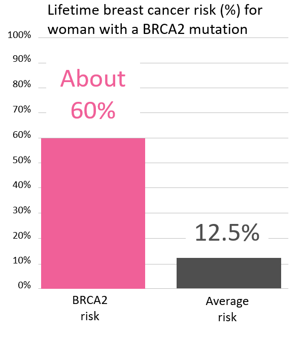 Cancer Risk And Brca2 Gene Mutations 3129